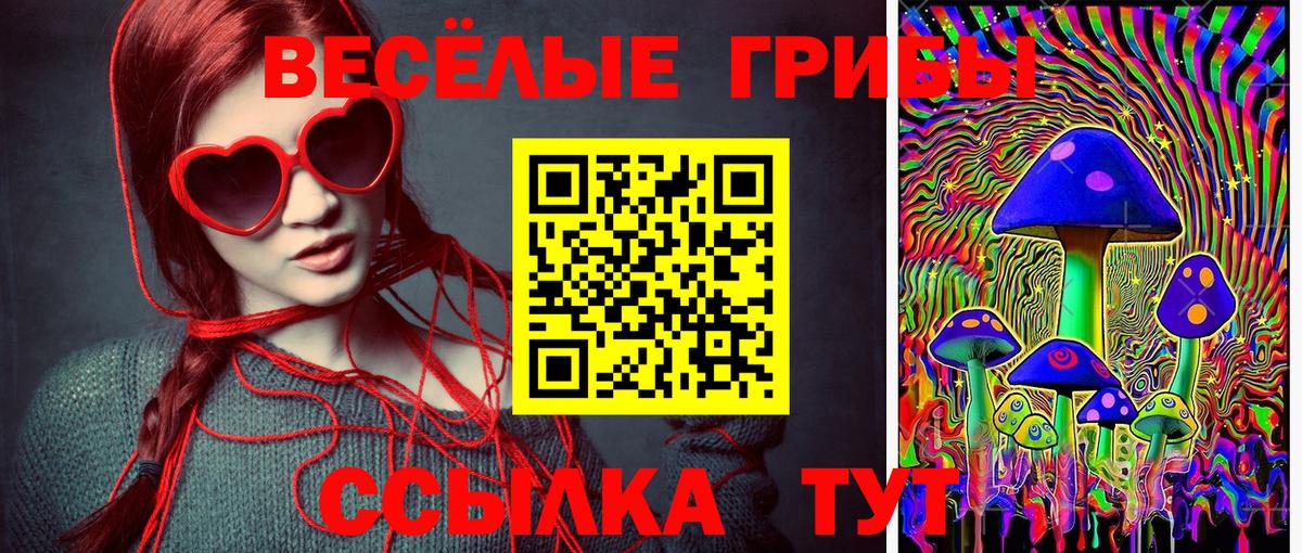 Галлюциногенные грибы GOLDEN TEACHER Верхний Уфалей
