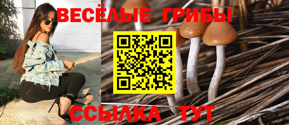 Галлюциногенные грибы GOLDEN TEACHER  Вход с VPN  Галлюциногенные грибы мицелий  Верхний Уфалей 